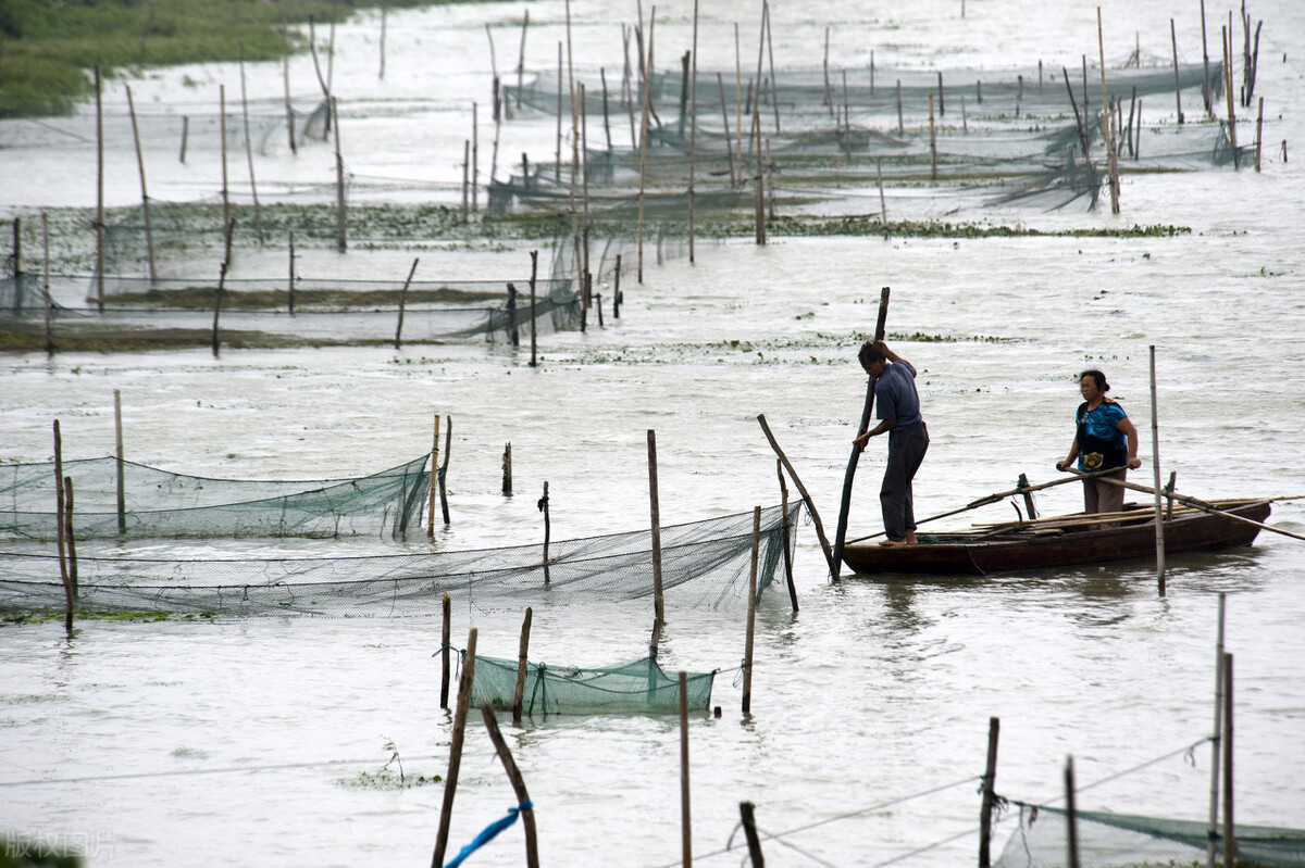 洪泽湖的困境：曾经的“国民鱼塘”，如今却逼渔民“上岸”？