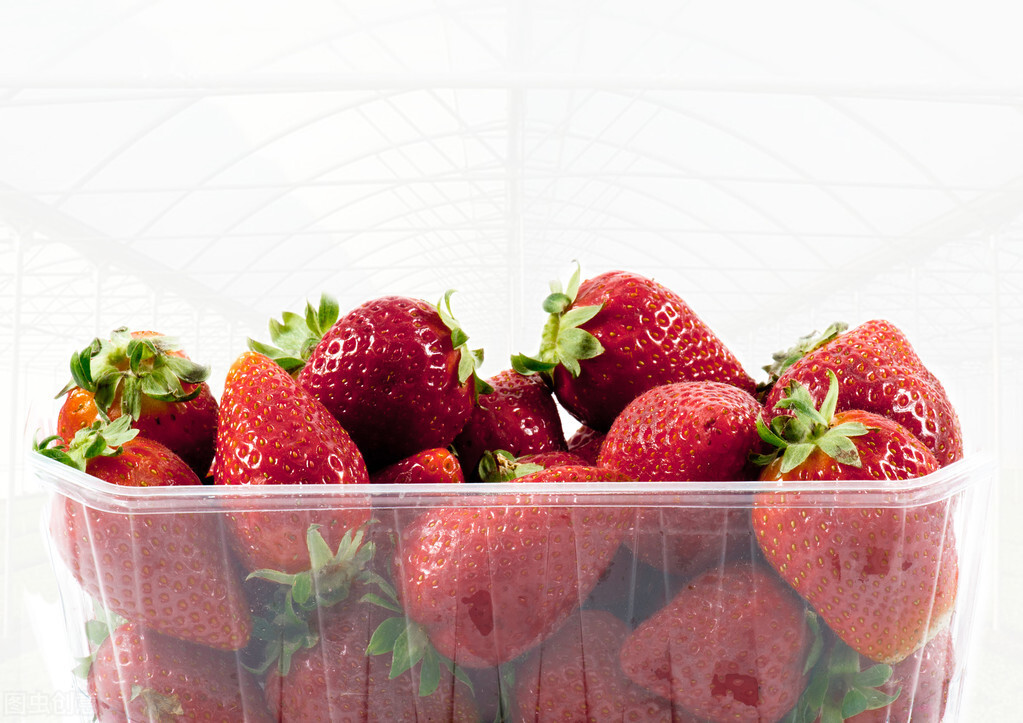 图片[4]-冬天吃不完的草莓怎么储存能延缓腐烂？分享妙招给你学会试下-起舞食谱网
