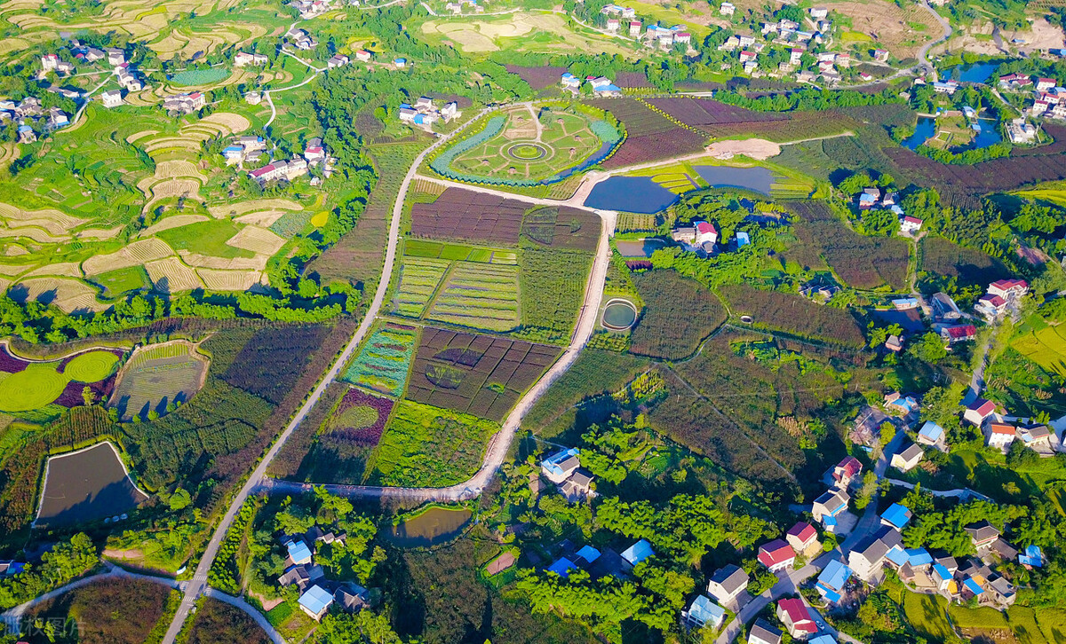 新百亿市场诞生，1.5亿中小学生即将涌向农村，乡村农庄或爆发