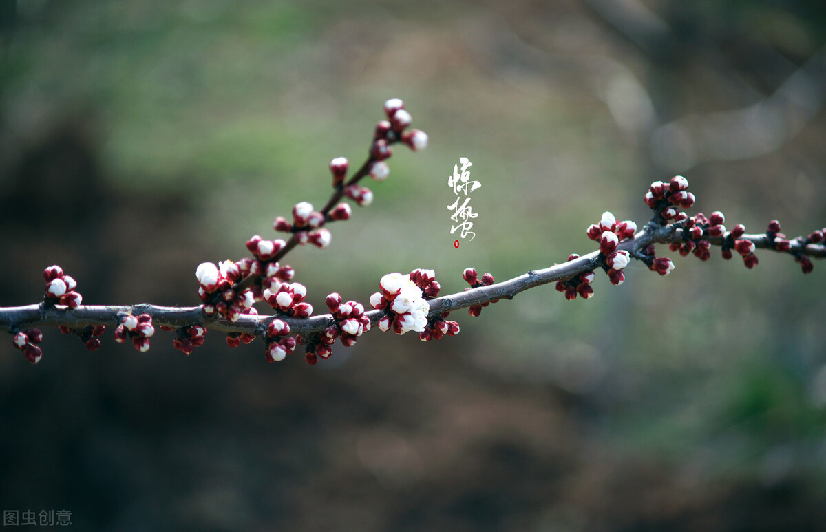 “一阵催花雨，数声惊蛰雷”，四首写惊蛰的经典佳作，流芳千年