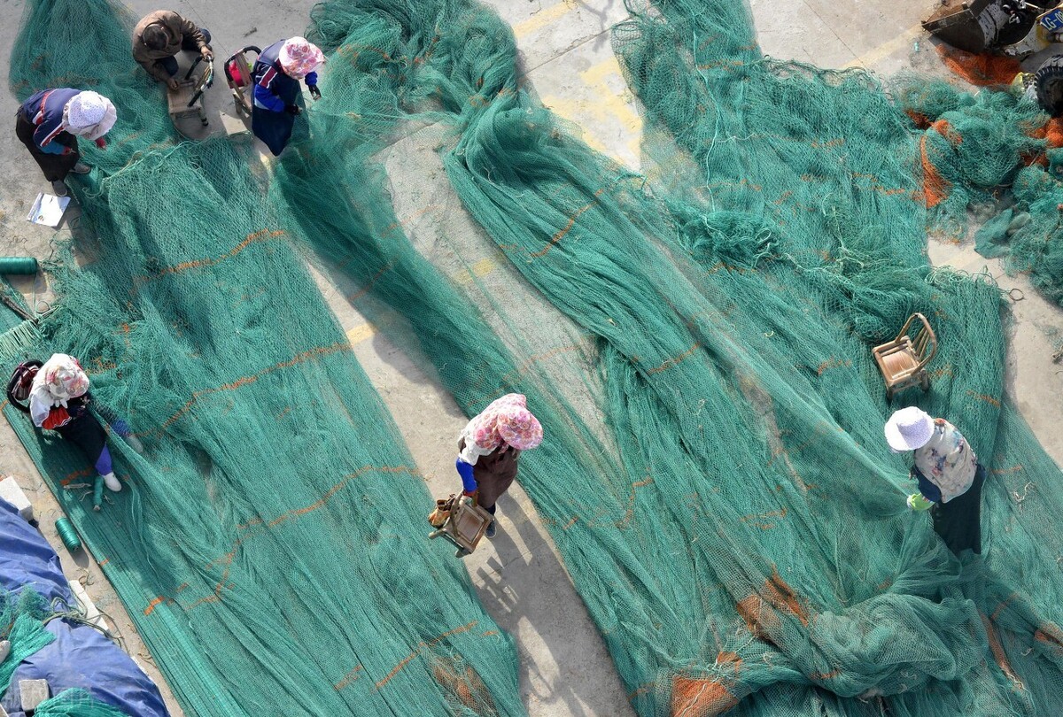 海洋的“报复”：绝户网、拖底网，渤海、舟山渔场已成“死海”？