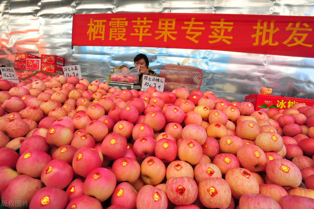 苹果价格一天跌1元，今年为何如此低迷？春节前能逆涨吗？