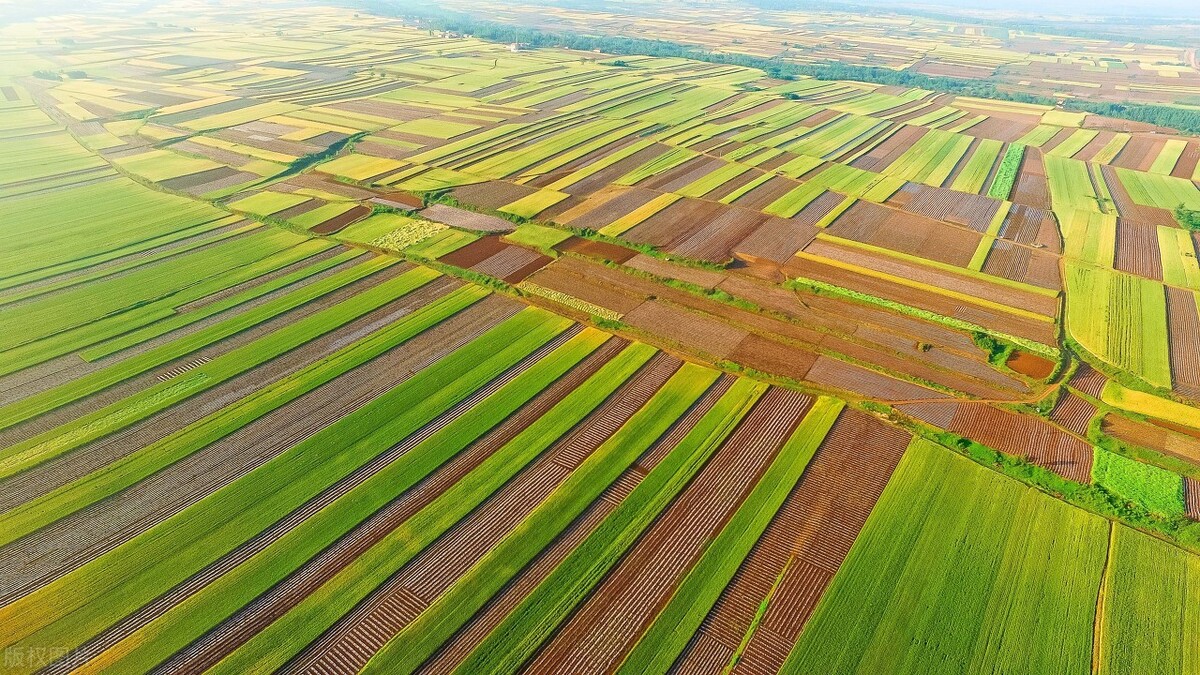 美国耕地24亿亩 农民300万 为何能打造世界第一农业 农业观点 中国之窗