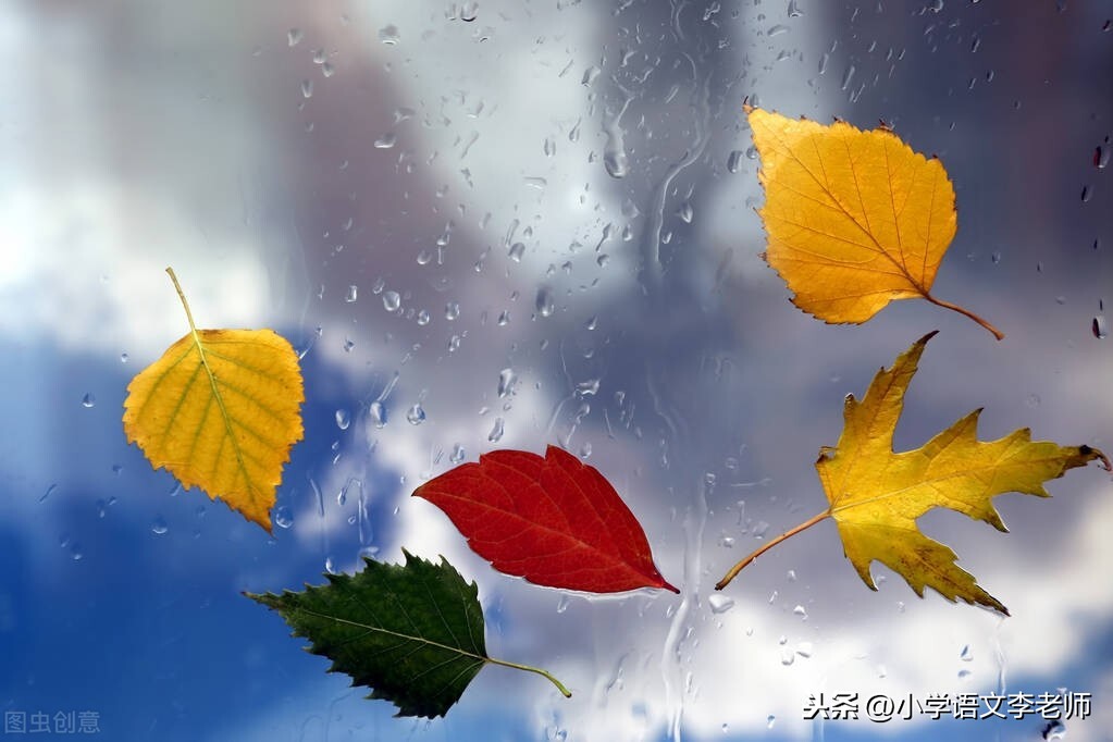 三年级语文上册《秋天的雨》知识点汇总，让孩子打好学习基础