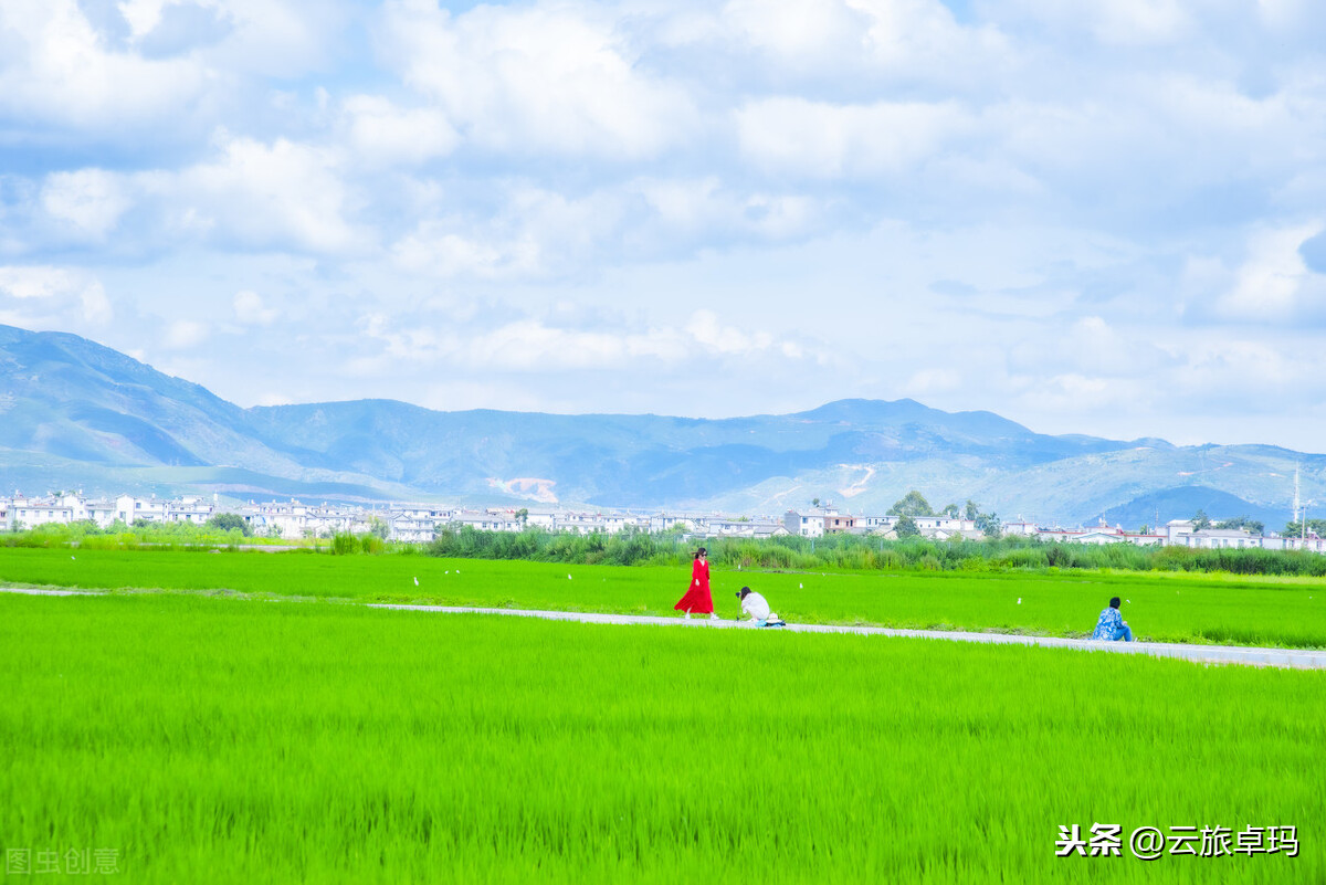 云南旅游8天纯玩，需要多少钱？