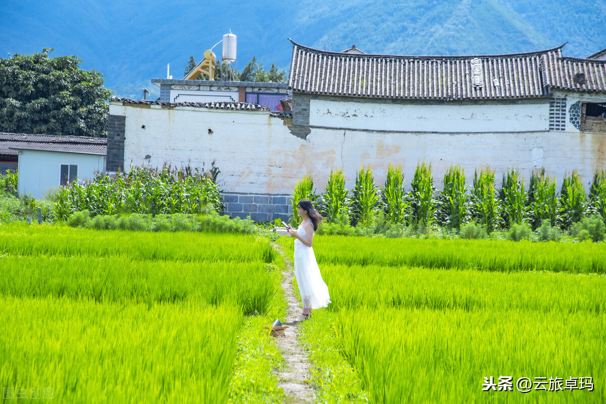 云南旅游8天纯玩，需要多少钱？