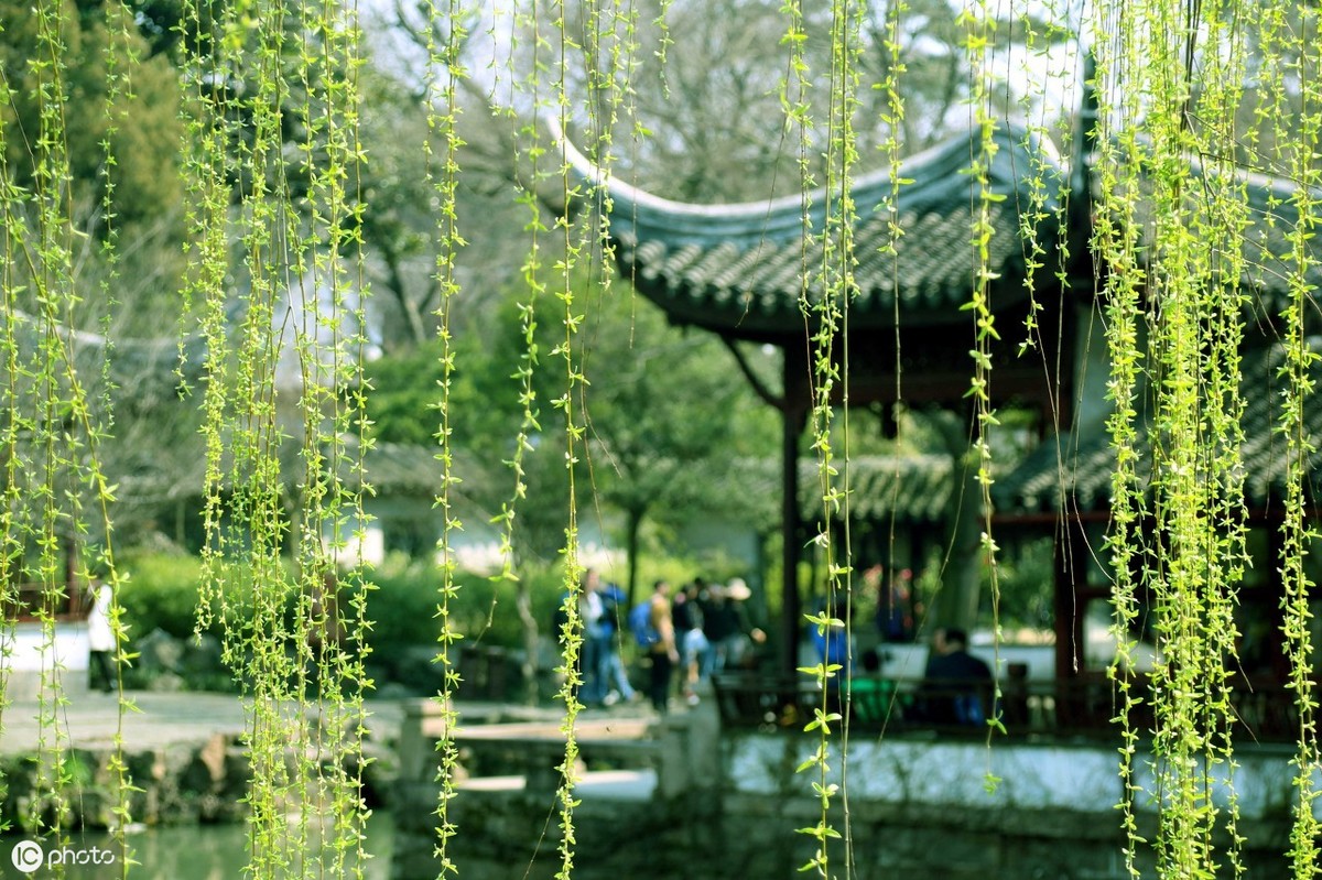在杨万里的这首诗里，感受四季变化的美，不负人生，不负遇见-第3张图片-非凡网