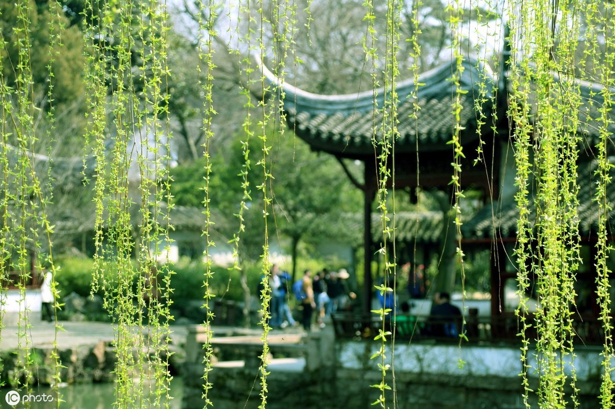 在杨万里的这首诗里，感受四季变化的美，不负人生，不负遇见-第3张图片-诗句网