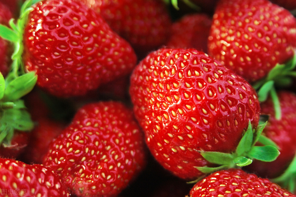 图片[3]-冬天吃不完的草莓怎么储存能延缓腐烂？分享妙招给你学会试下-起舞食谱网