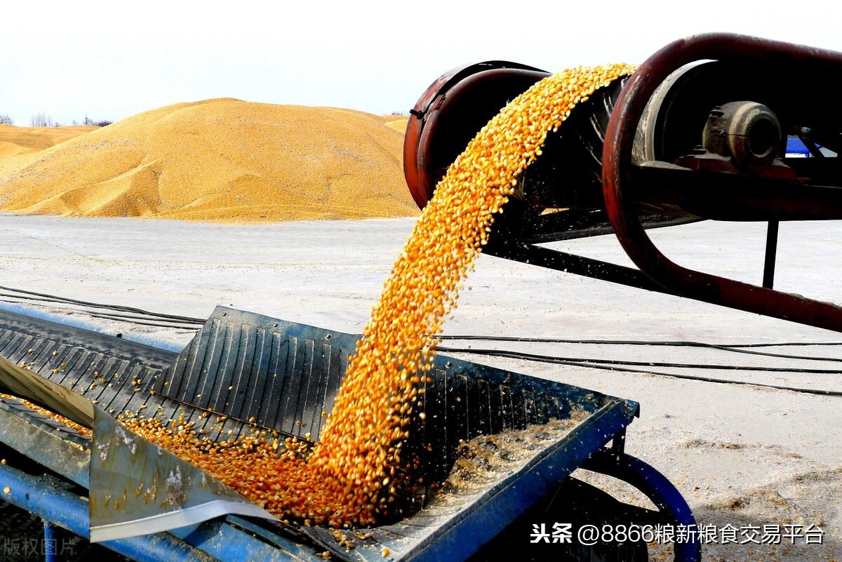 东北，华北联手猛冲3000，玉米还有多少上涨的空间？