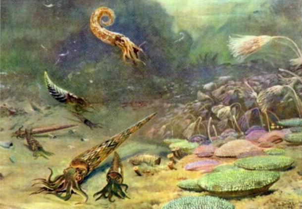 生命的起源是怎样的？达尔文的进化论还可信吗？