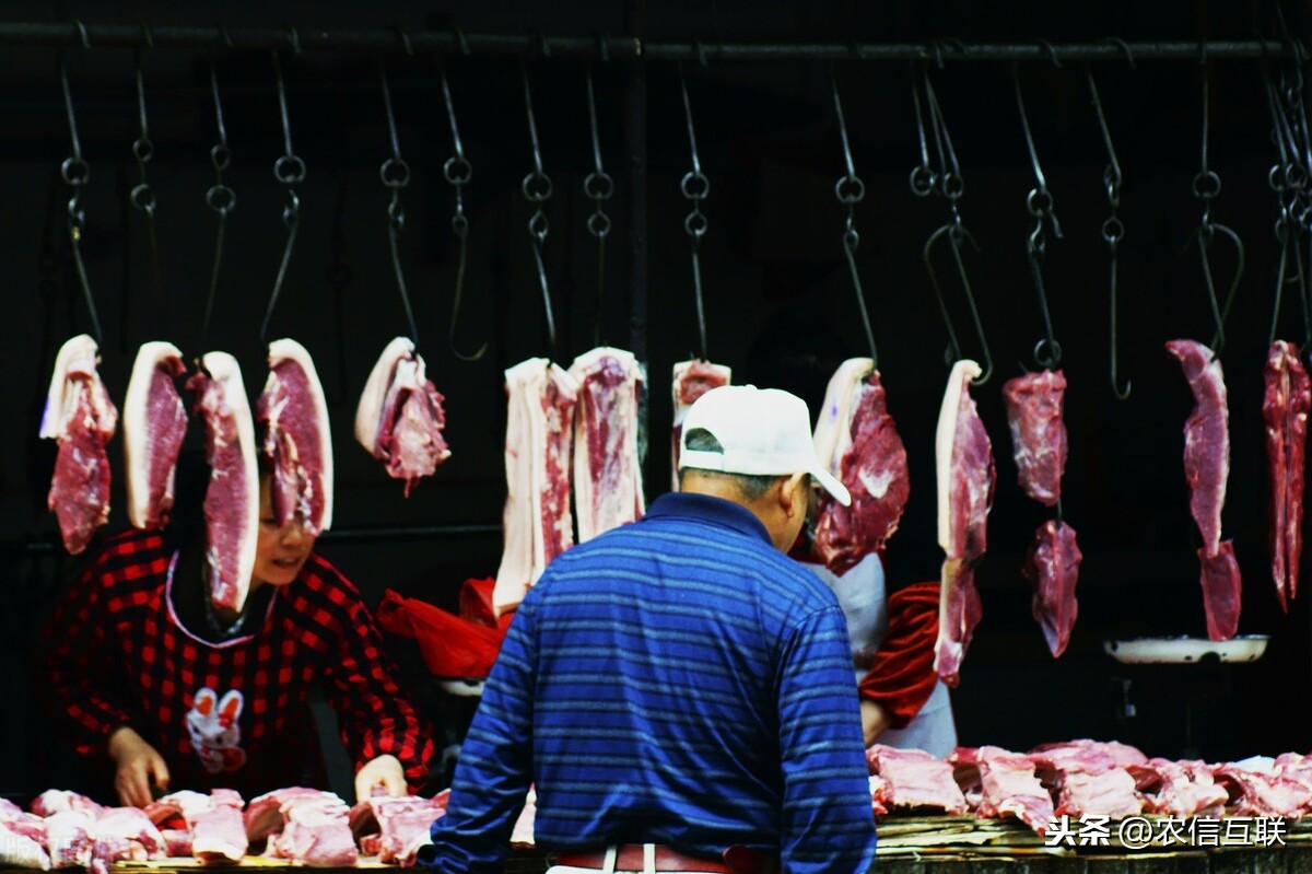 生猪价下跌，专家称今年跌到25元！为何猪肉价格重回40元时代
