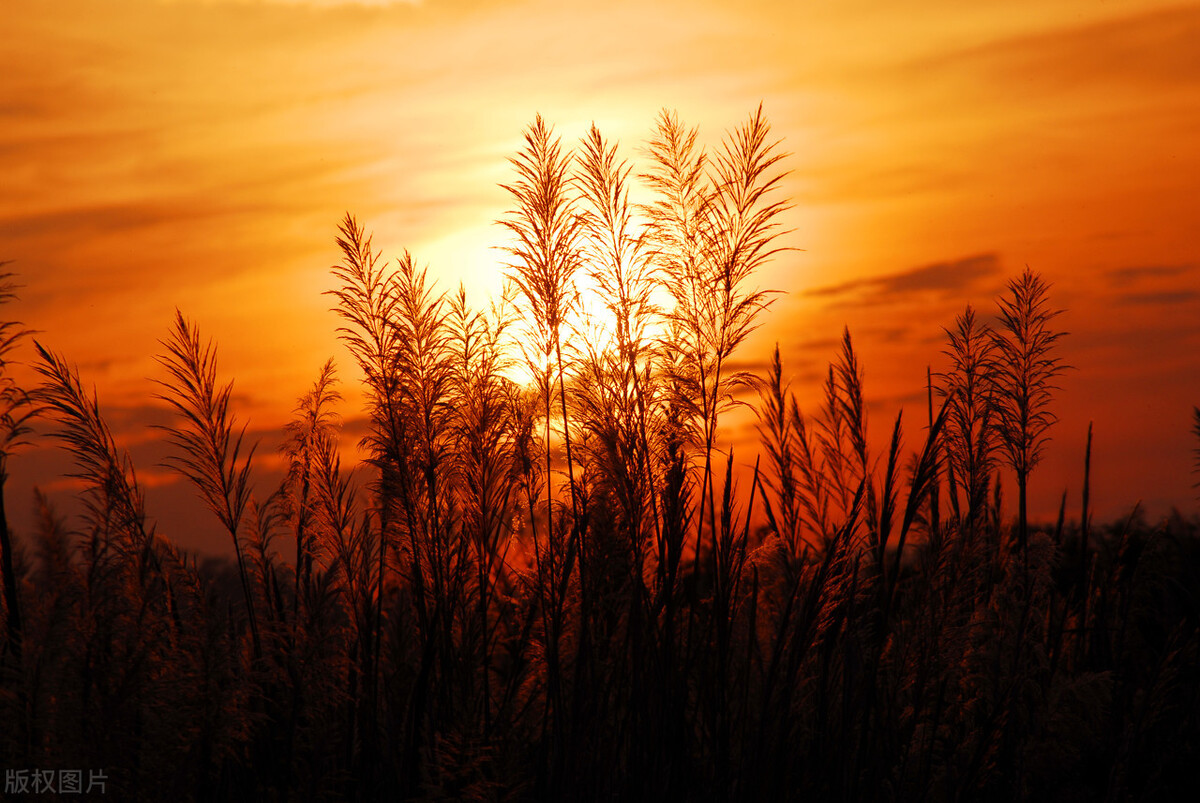 散文 夕阳西下