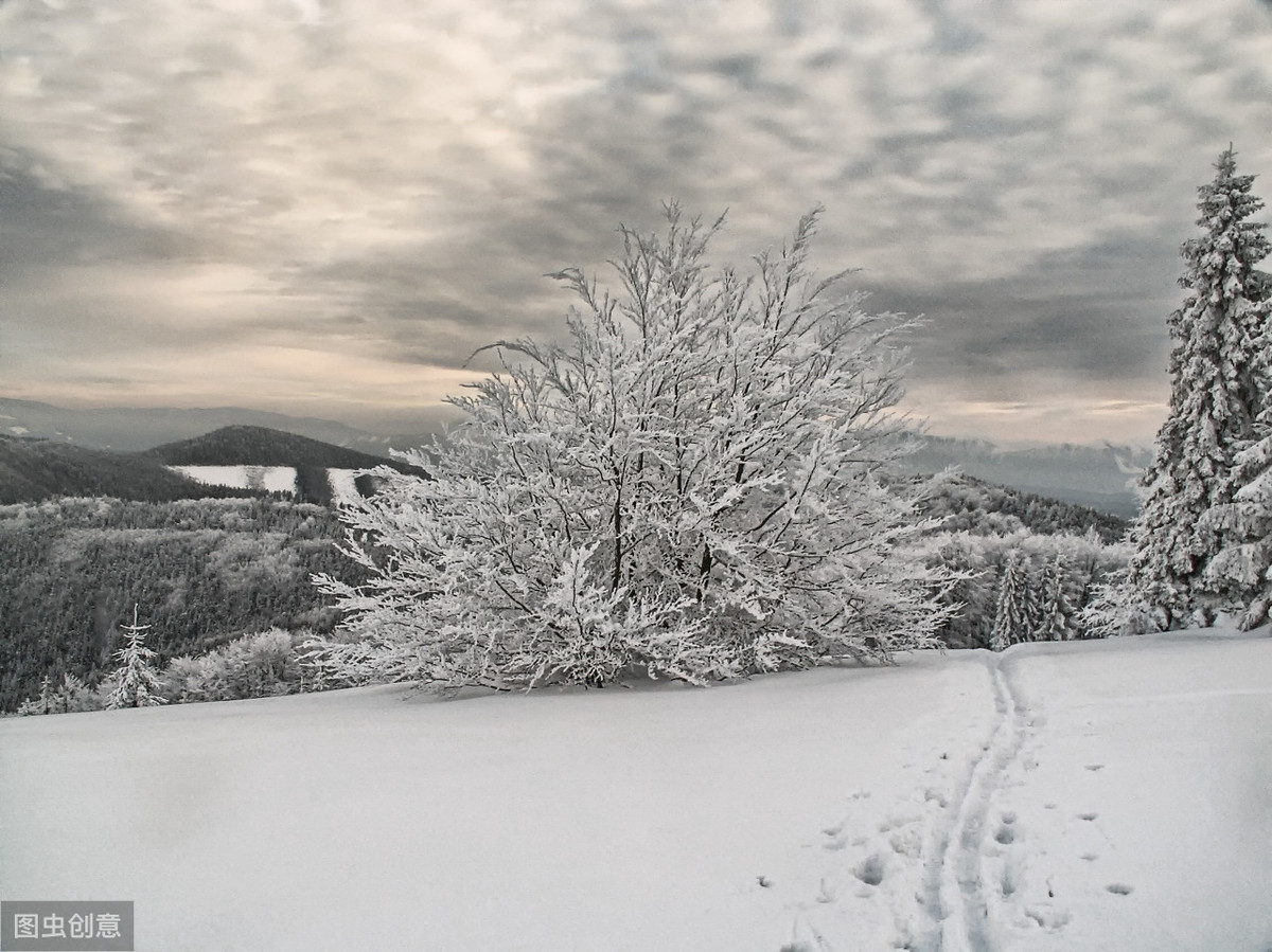 冬天到了，30句带雪的诗词名句，唯美动人，收藏备用-第1张图片-诗句网