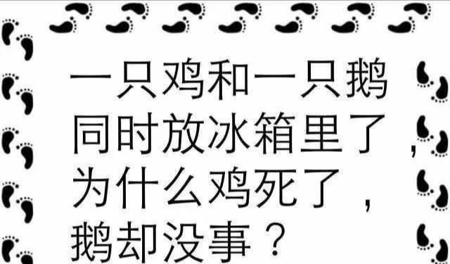 6道脑筋急转弯答对一半是人才，全对是天才！你答对了几个