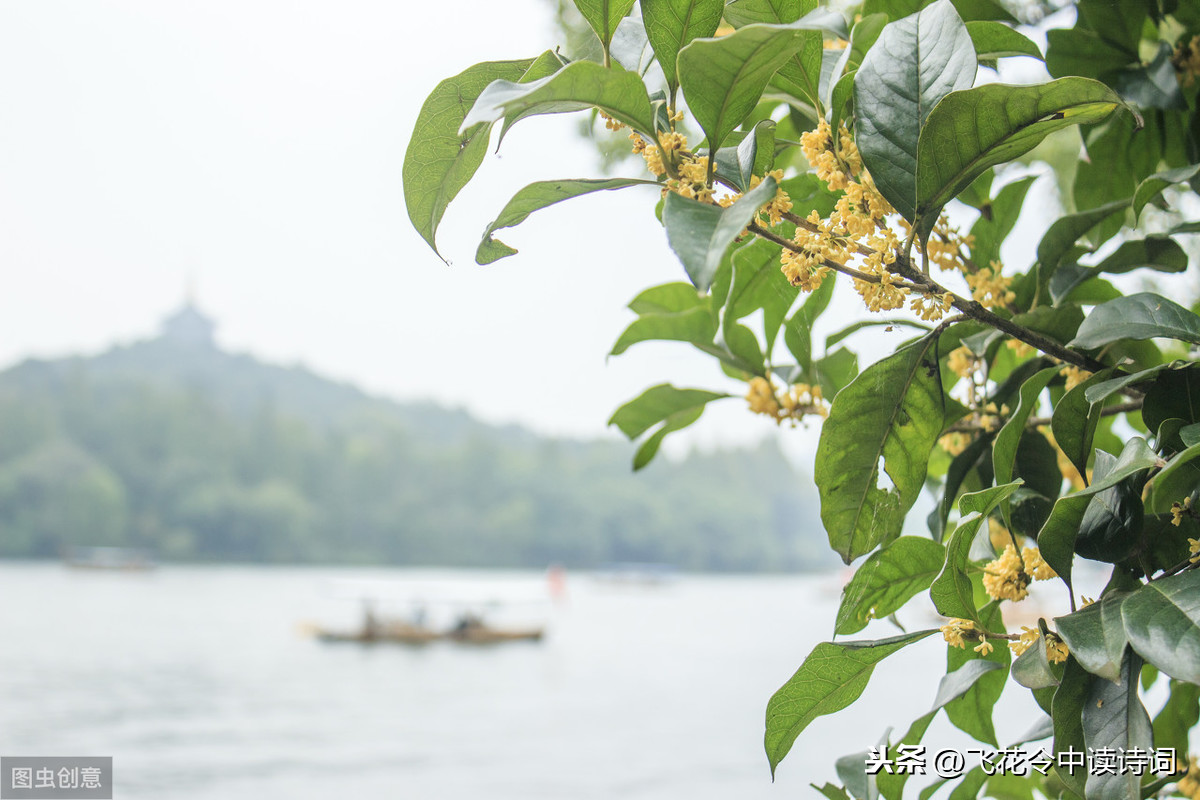 这10首古诗词，描写花草到了极致，你最喜欢哪一首呢？-第4张图片-诗句网