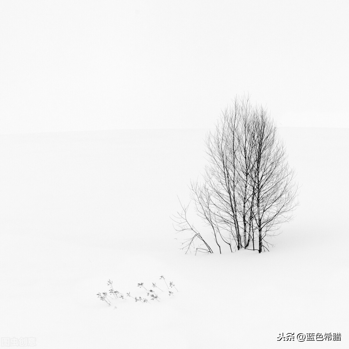 How is snow scene little respect patted good-looking? Graph of 9 pieces of give typical examples teachs you 3 photography skill, take beautiful winter view