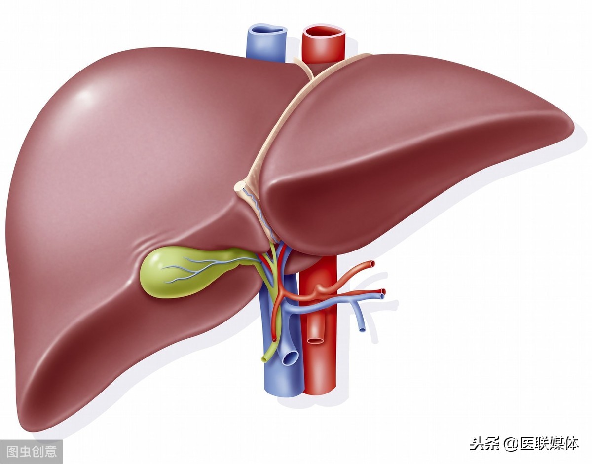 身体出现“3红2臭”，多是肝脏病变引起的，得及时进行检查