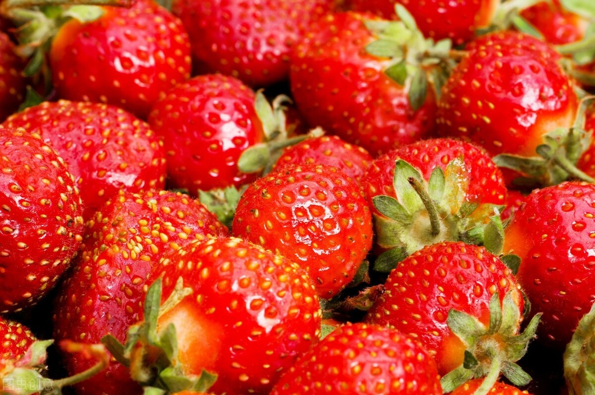 图片[5]-冬天吃不完的草莓怎么储存能延缓腐烂？分享妙招给你学会试下-起舞食谱网