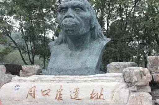 周口店北京人遗址的发现，探索人类的发展进程