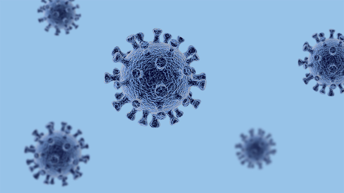新冠病毒疫情到底是什么引起的？来看看本文的总结分享