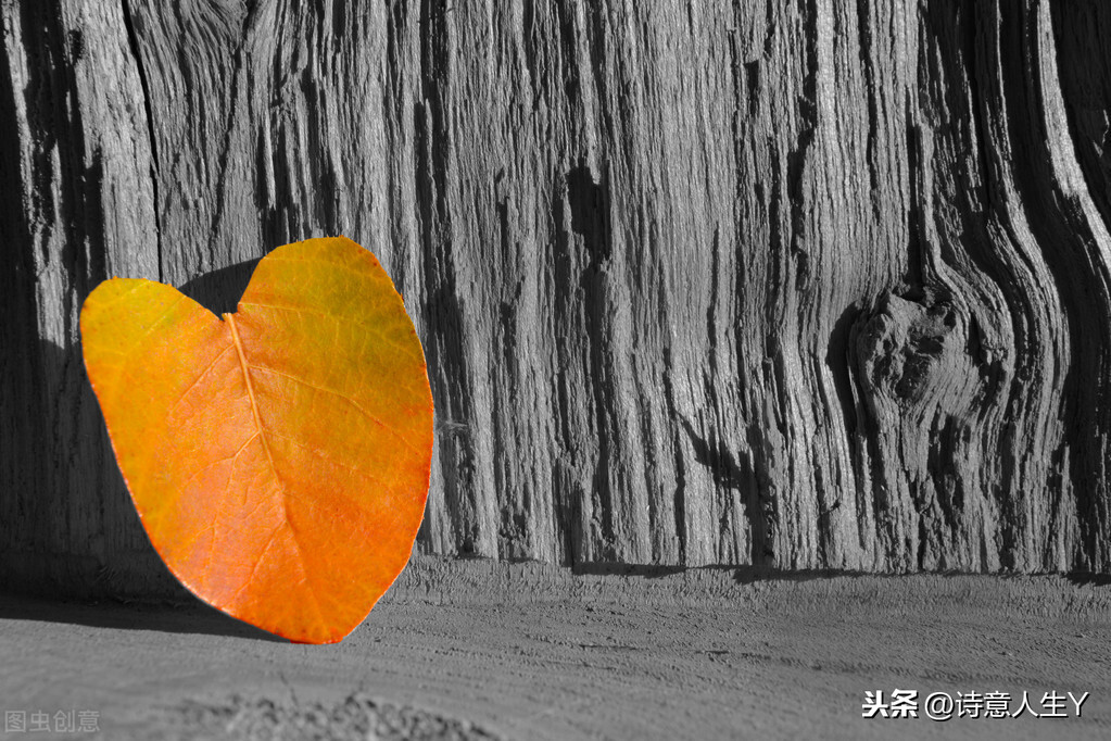 散文诗：落叶，在冬季里歌唱-第1张图片-诗句网