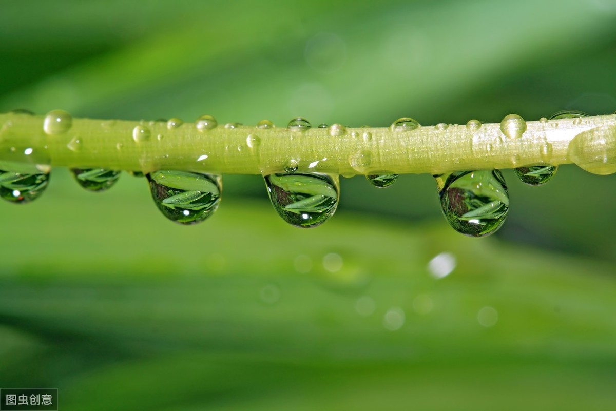 这样上课学生更积极，《秋天的雨》优秀教学设计，不愧是名师