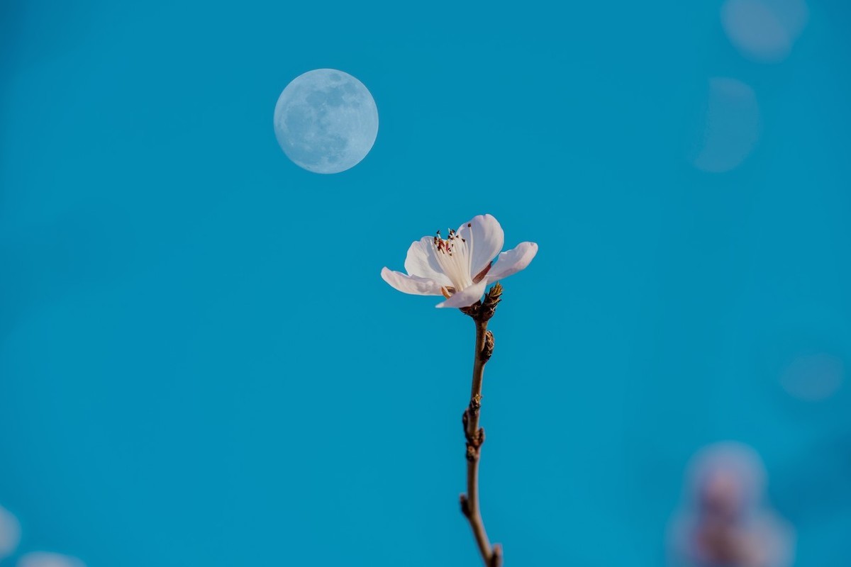 飞花令：春——100句最美春天古诗词-第2张图片-非凡网