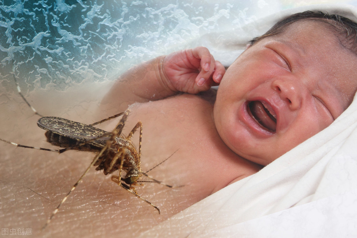 被蚊子咬易致传染病，这10个防蚊驱蚊妙招，有宝宝的家庭要知道