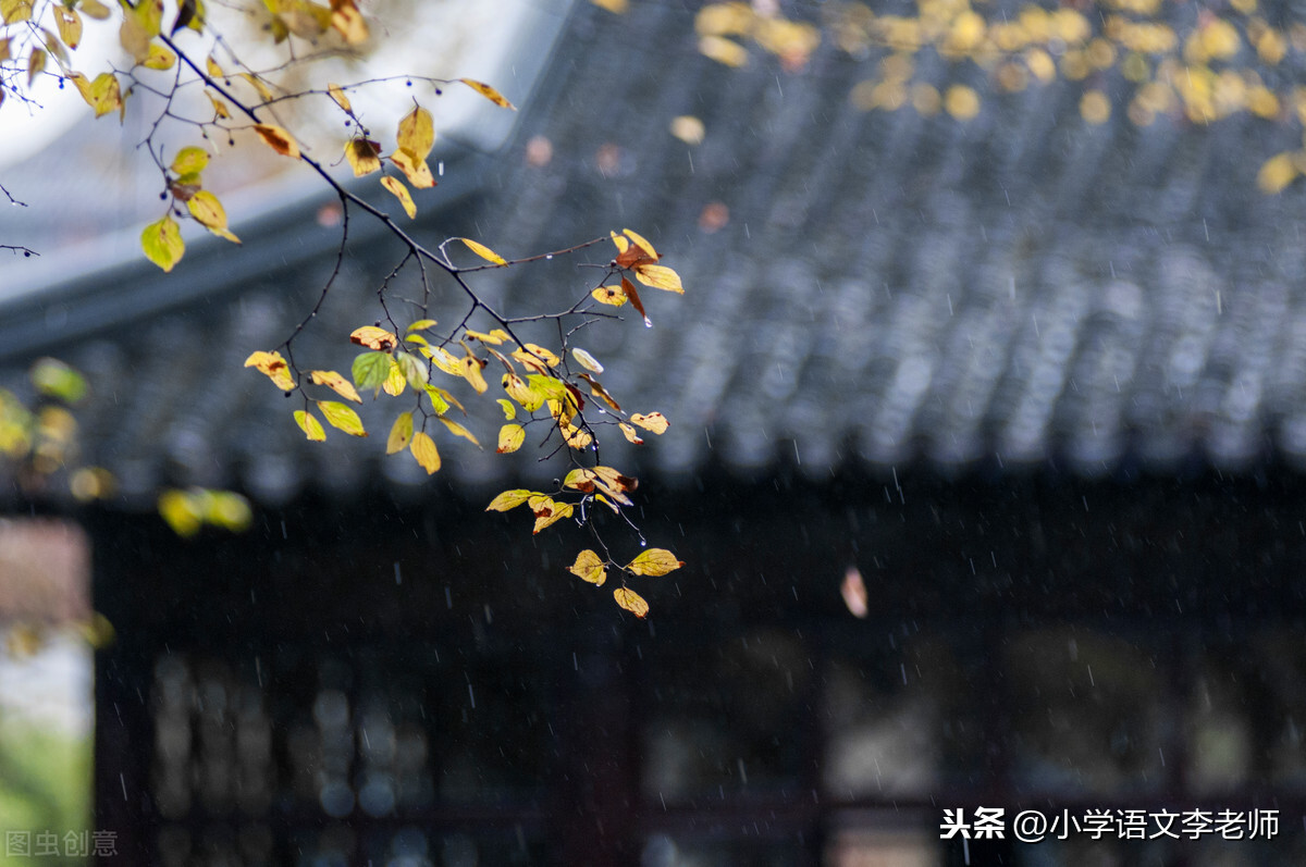 三年级语文上册《秋天的雨》知识点汇总，让孩子打好学习基础