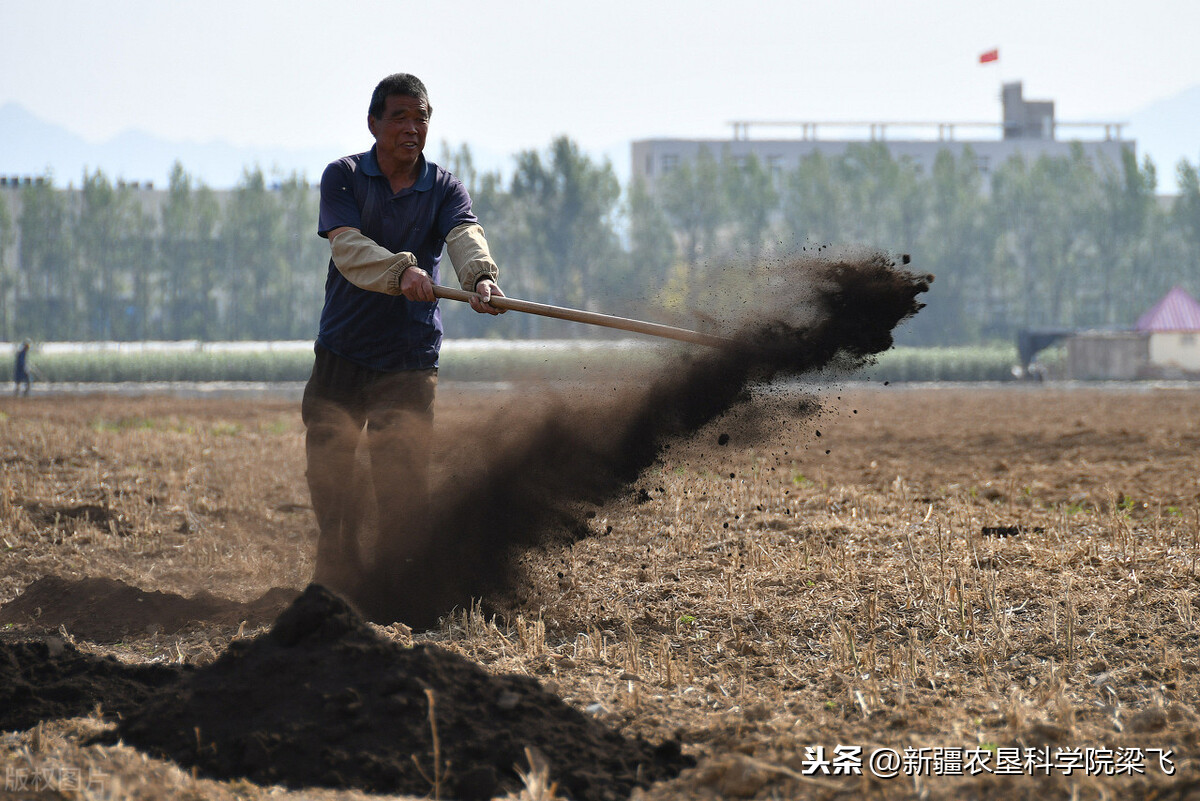 如何提高土壤有机质，实现藏粮于地？