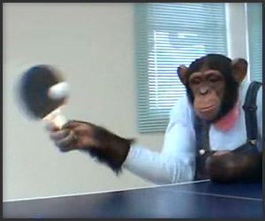 黑猩猩和人类打乒乓球，赢了竟然还扭头偷笑