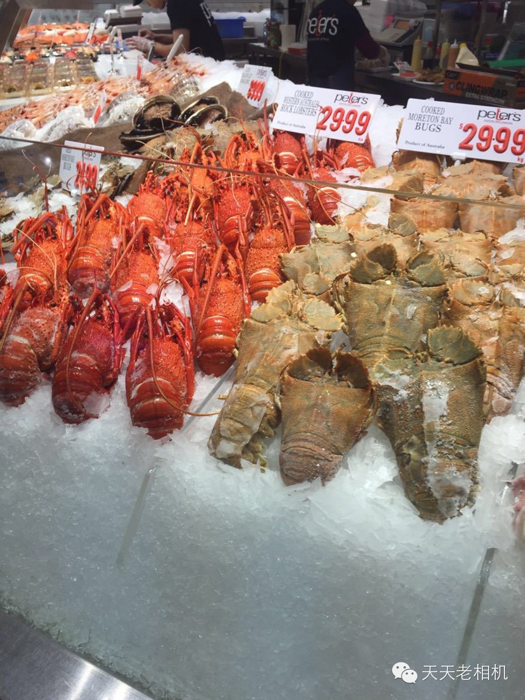 世界第二大的海鲜市场，你知道吗？