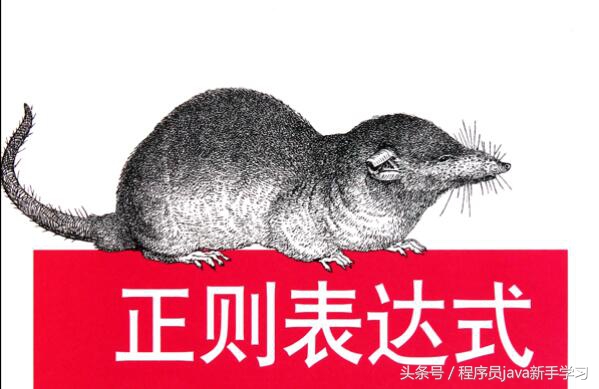 正则表达式 - 综合简介