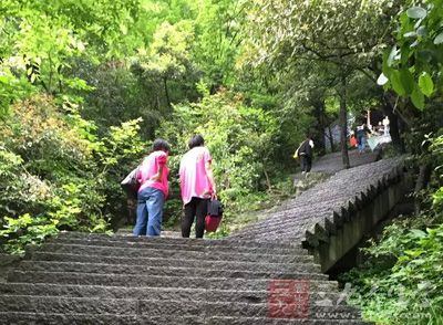 到底饭后立即散步好吗？