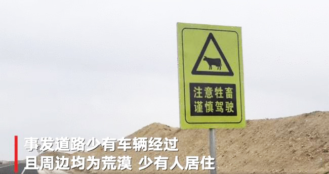 “谢大脚”车祸身亡，全景天窗真不安全？