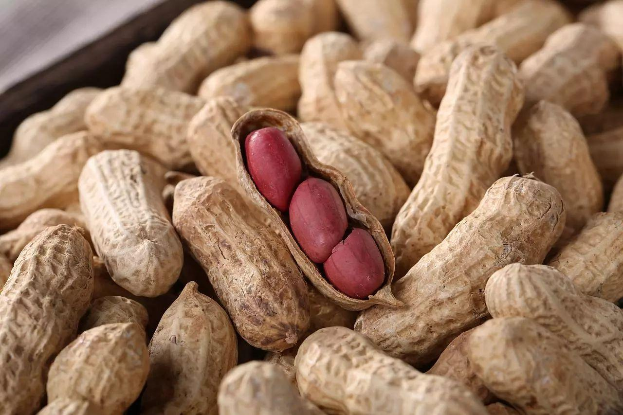 吃花生有4大好處，延年益壽都不在話下，但有4類人沒有口福