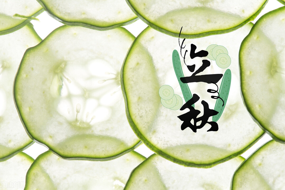 立秋前后可种什么蔬菜？8种蔬菜该种了，萝卜白菜都在内