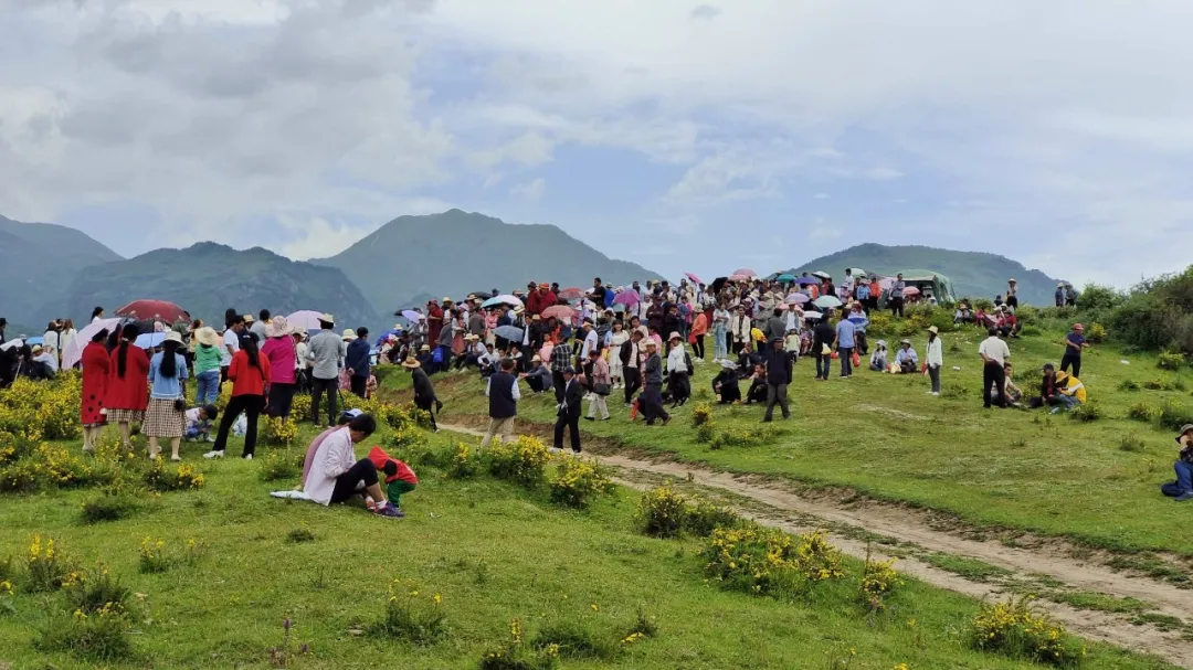 七月，冶力关大景区有点“热”