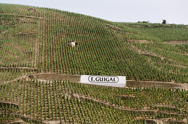 罗纳河谷：法国最大的法定红葡萄酒产区