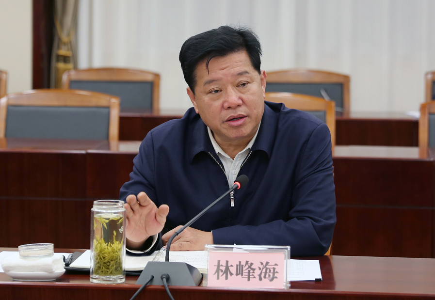 林峰海推动政法队伍教育整顿向纵深发展