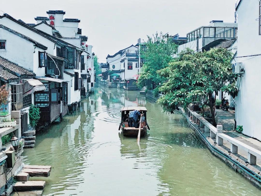 雨水｜一夜返青千里麦，万山润遍动无声