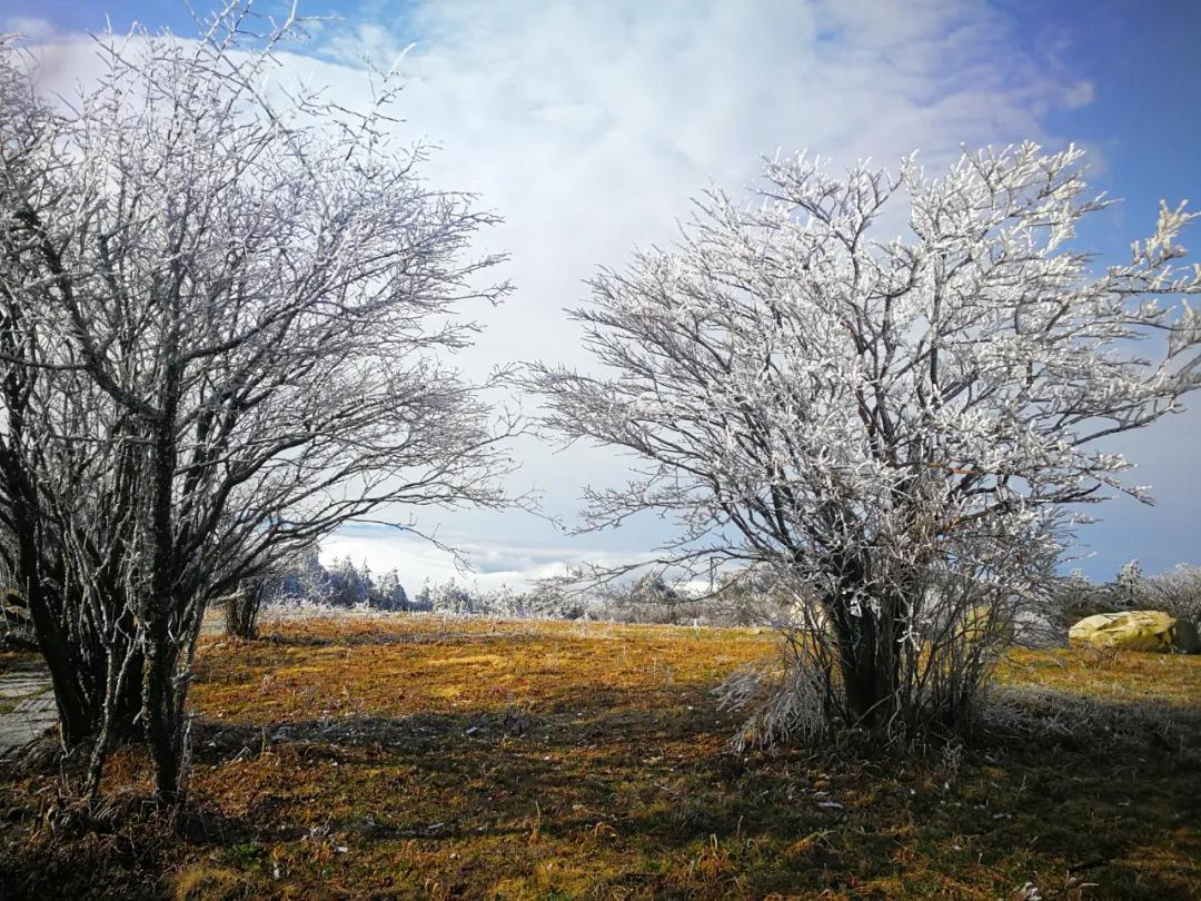 美哭｜3月2日天岳幕阜山现大面积雾凇美景，晶莹剔透美极了.