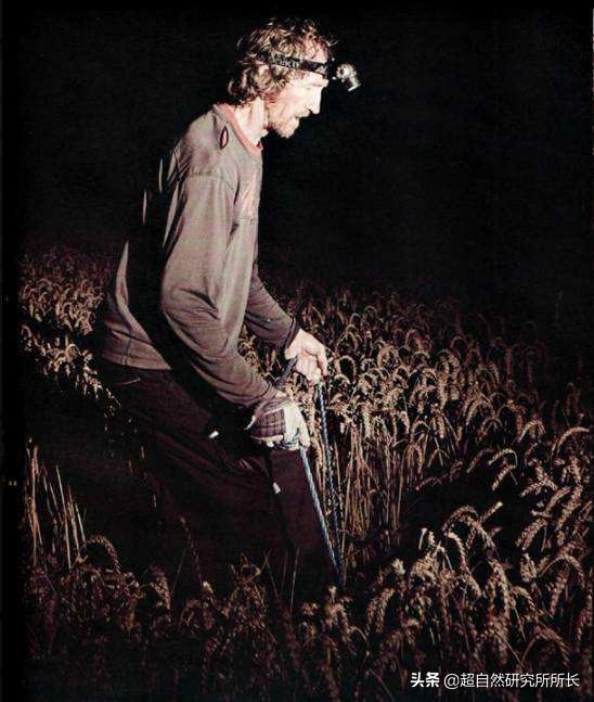 麥田怪圈竟然是假的？究竟是人為還是某種未知的傑作？