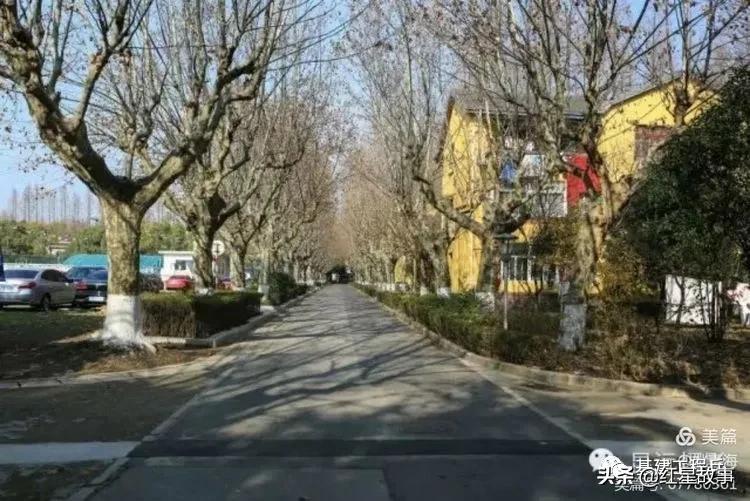 南京军区大院　镌刻几代军人厚重的记忆