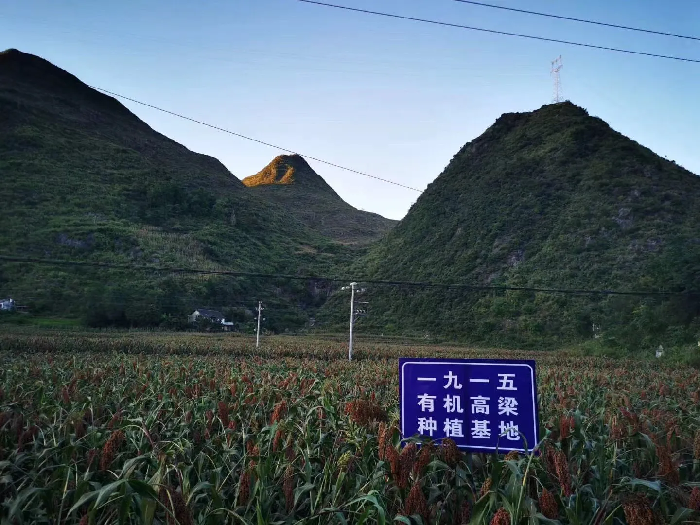 一九一五酒厂邀约相遇第十届贵州酒博会品鉴好酒之美