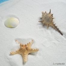 够硬核！财产险理赔之案例解读 第5张