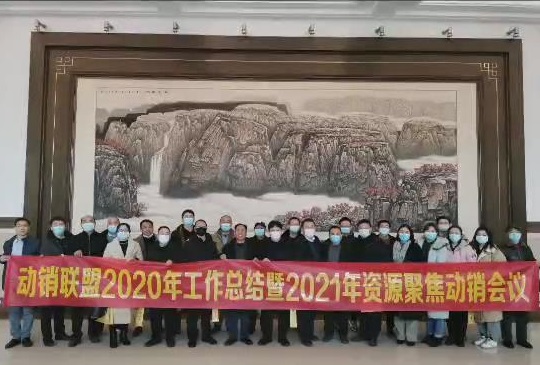河南动销联盟邀请十多家医药企业齐聚郑州共谋合作发展之路