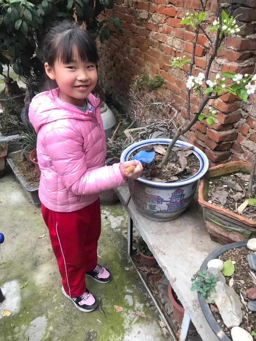 ��֮��.ֲ�̻���--�����еھ�Сѧֲ���ڻ��Ӱ