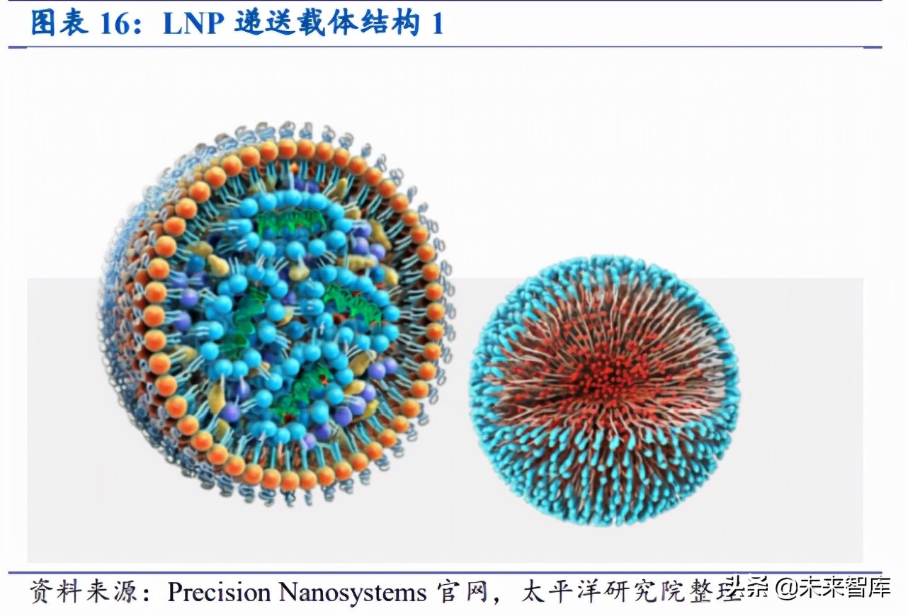mRNA疫苗相关产业链价值分析：酶是价值链最大的一块